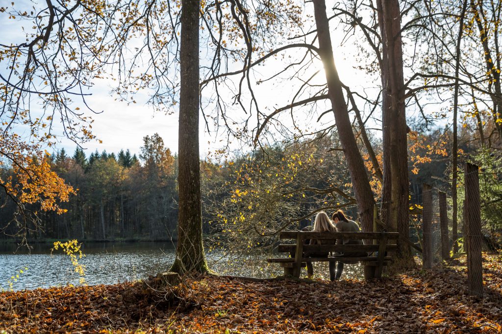 In herbstlicher Kulisse sitzen zwei Frauen an einem See