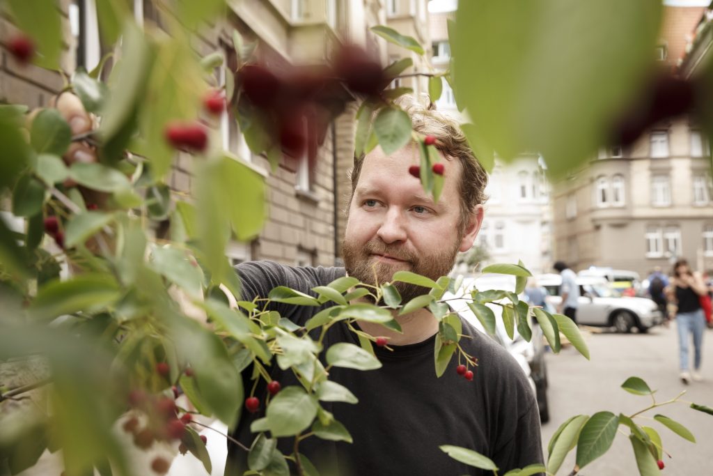 Ein Mann begutachtet die Früchte von einem Straßenbaum