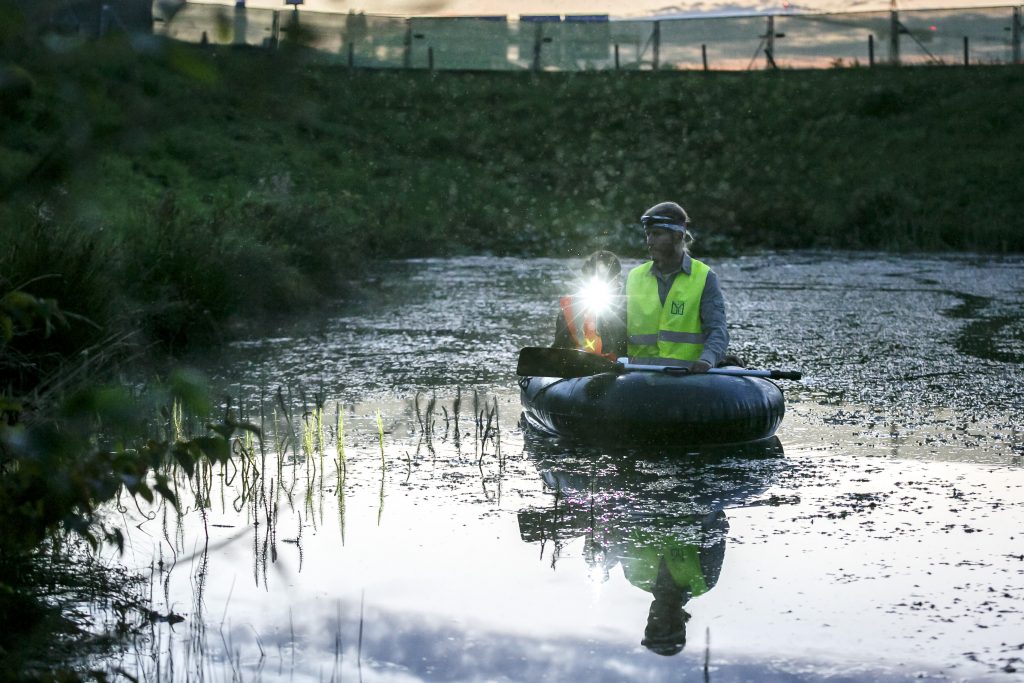 Biologen fangen Amphibien neben der Autobahn A8. Die Tiere müssen für das Bahnprojekt Stuttgart 21 umgesiedelt werden